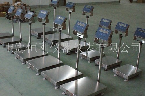 電子計(jì)重臺(tái)秤